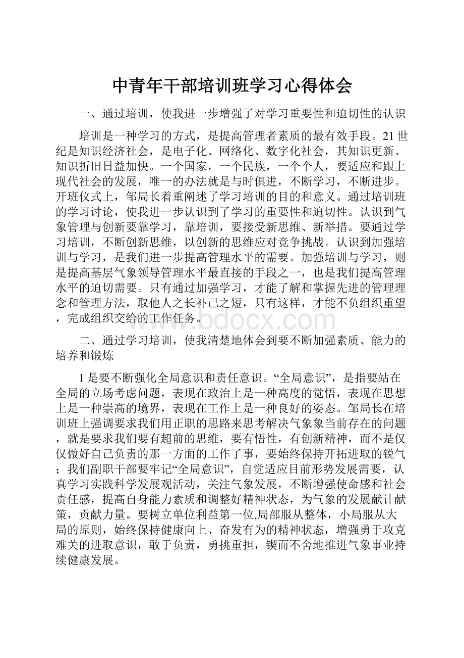 中青年干部培训班学习心得体会.docx