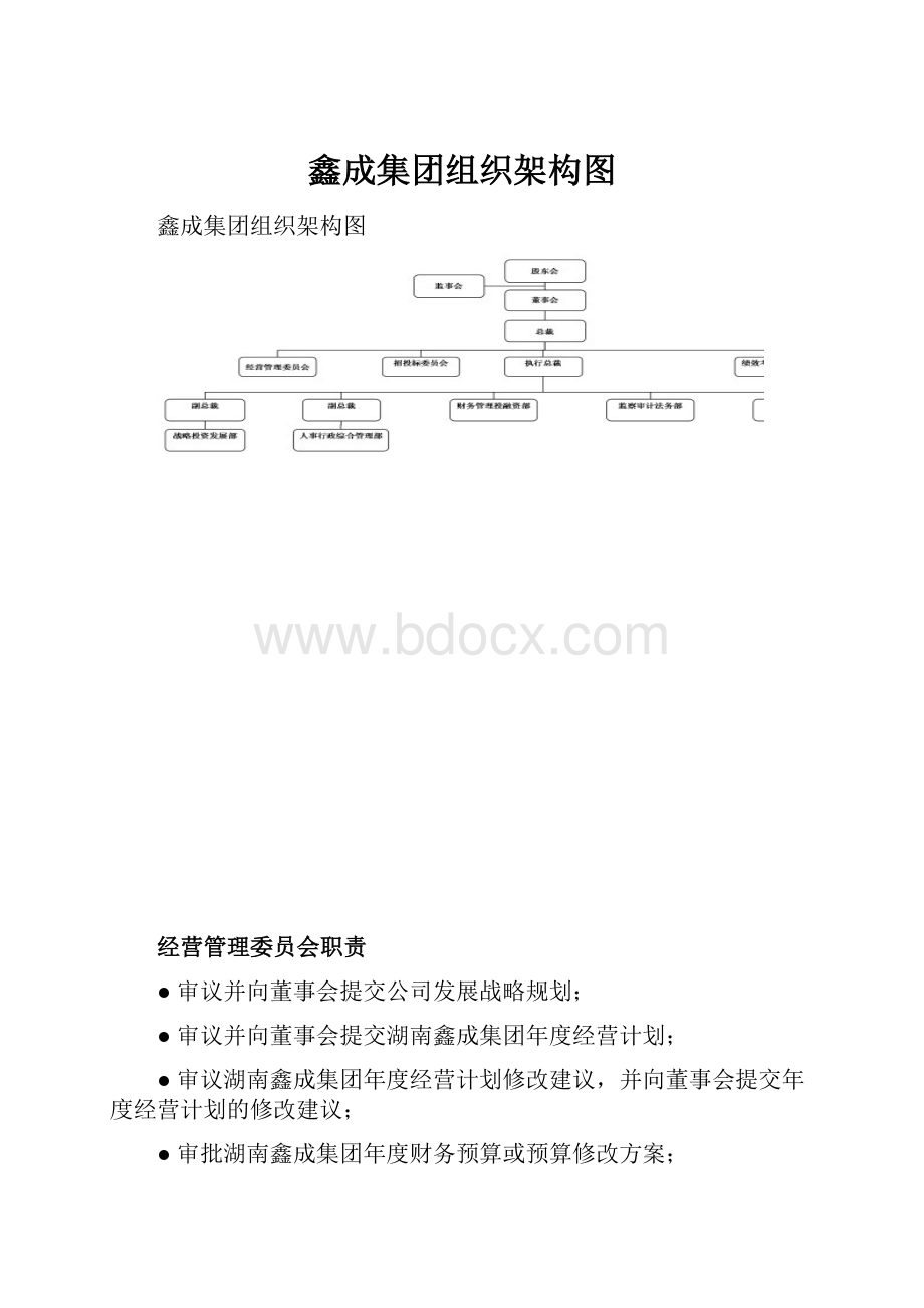 鑫成集团组织架构图.docx_第1页