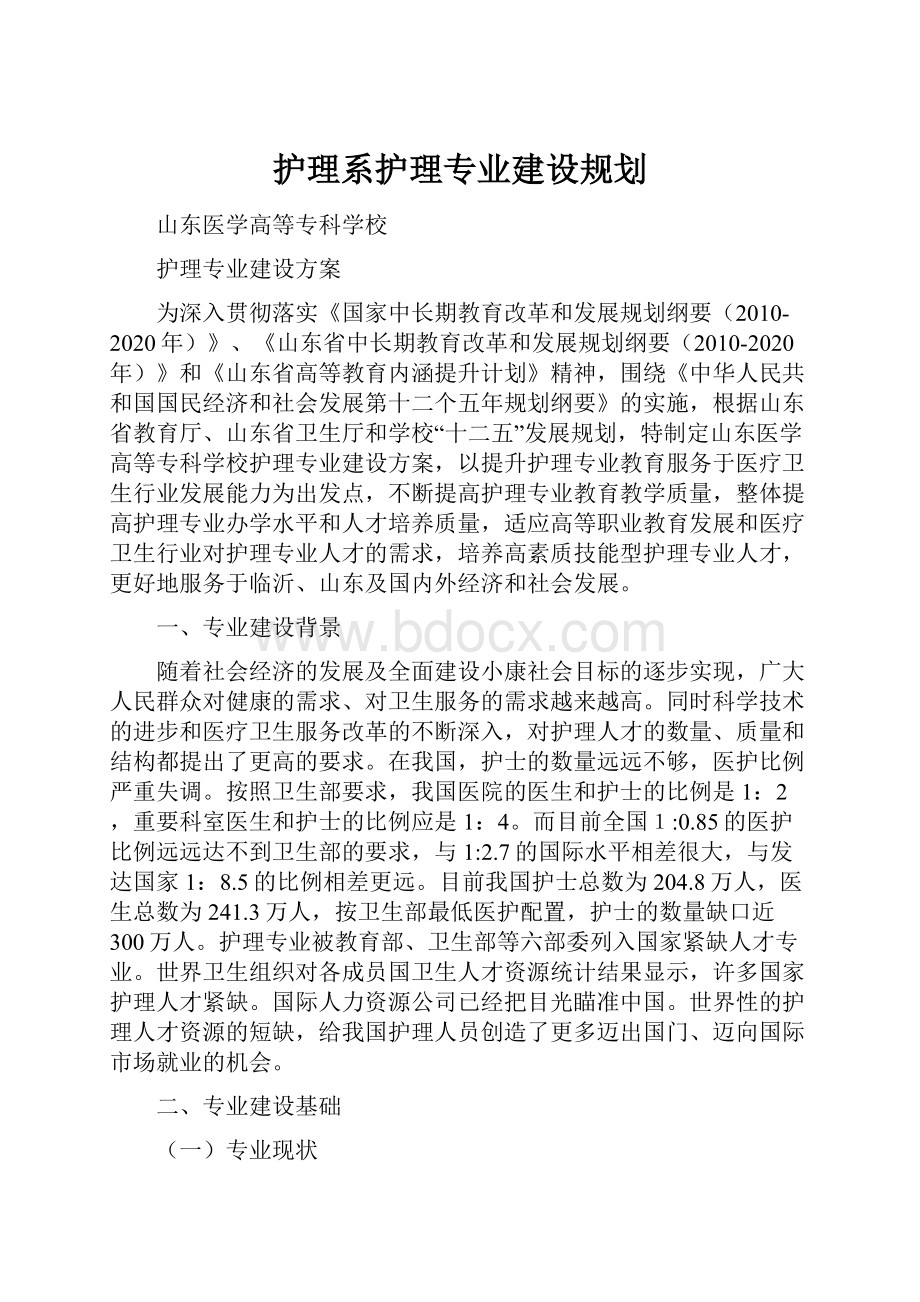 护理系护理专业建设规划.docx_第1页