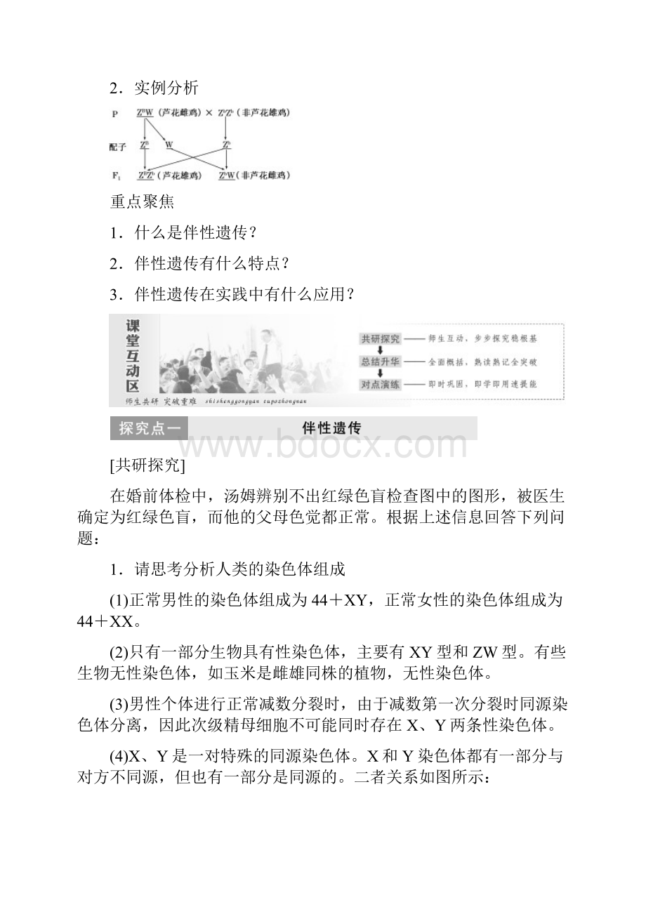 人教版高一必修二生物23《伴性遗传》教学案有答案.docx_第2页