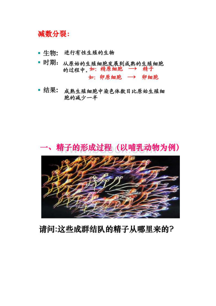 人教版高三生物一轮复习《减数分裂和受精作用》公开课课.docx_第2页