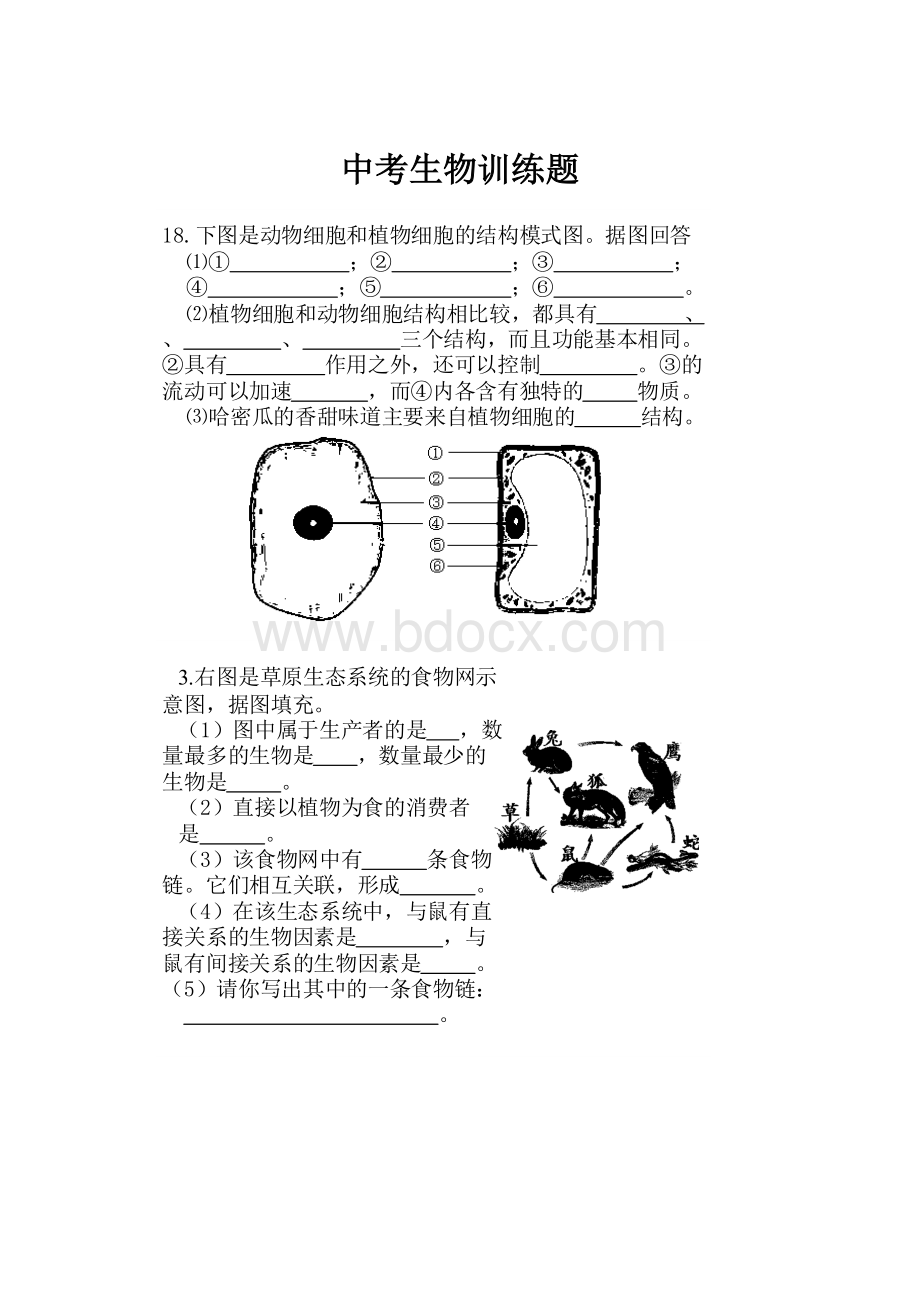 中考生物训练题.docx_第1页