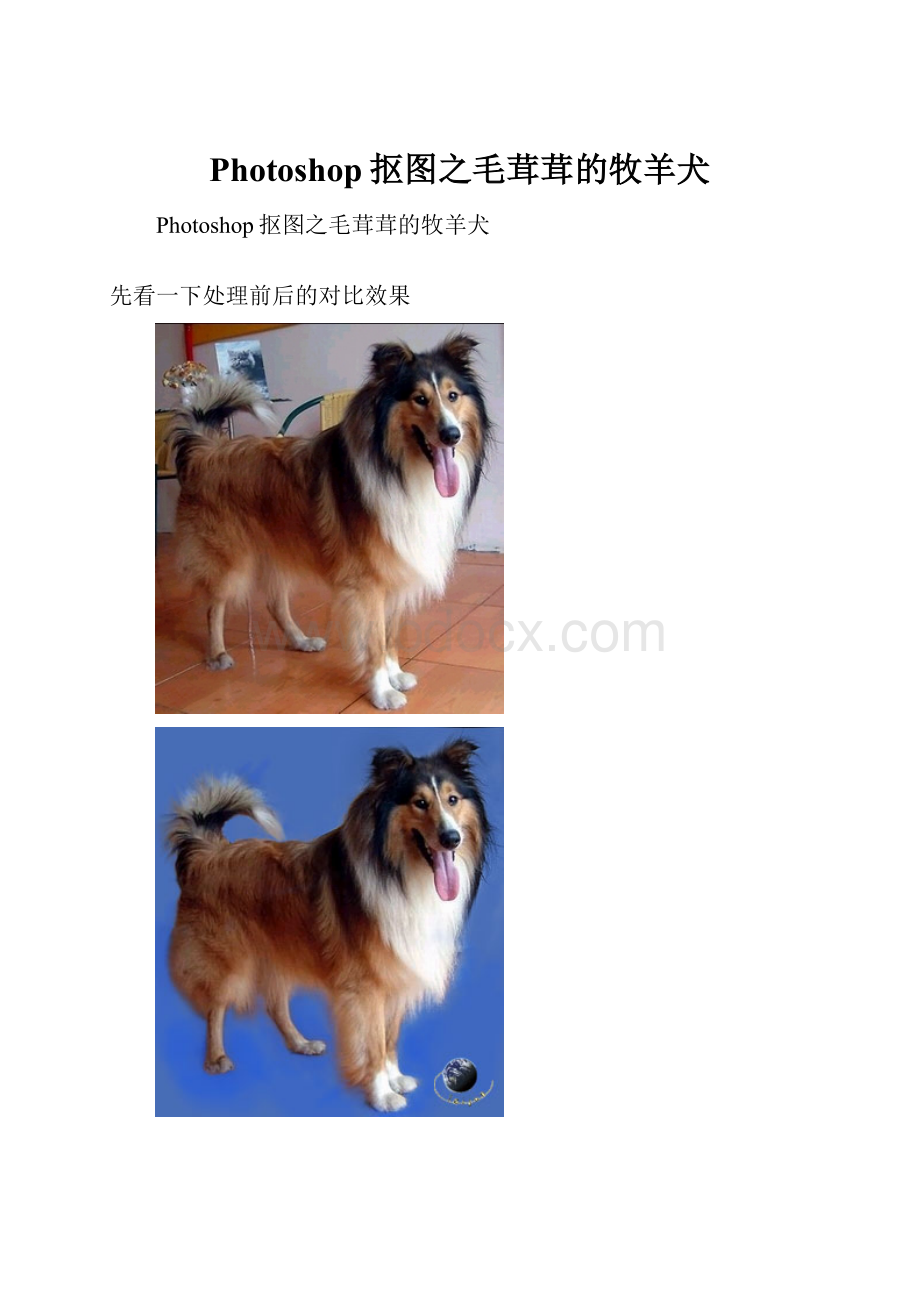 Photoshop抠图之毛茸茸的牧羊犬.docx