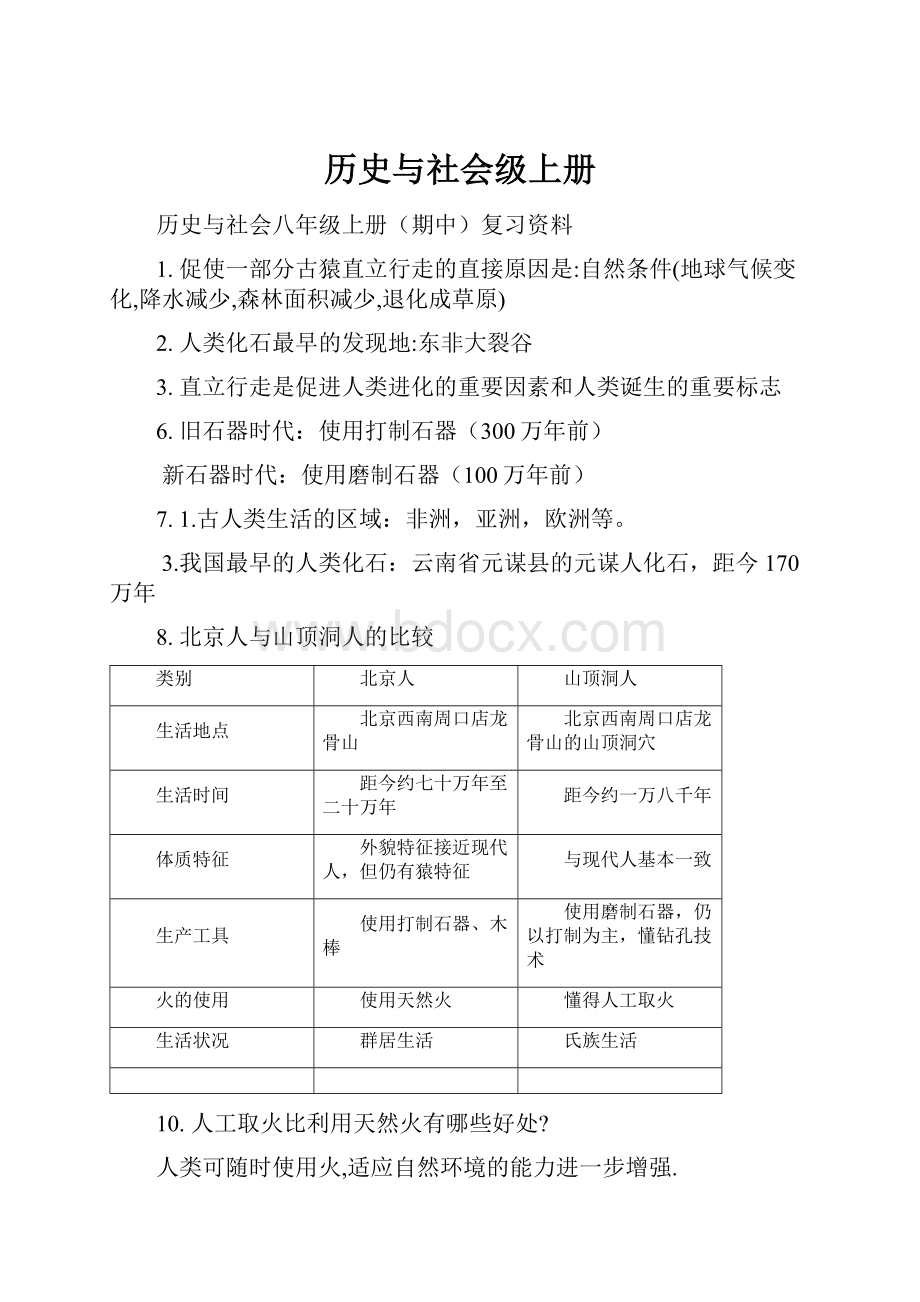 历史与社会级上册.docx