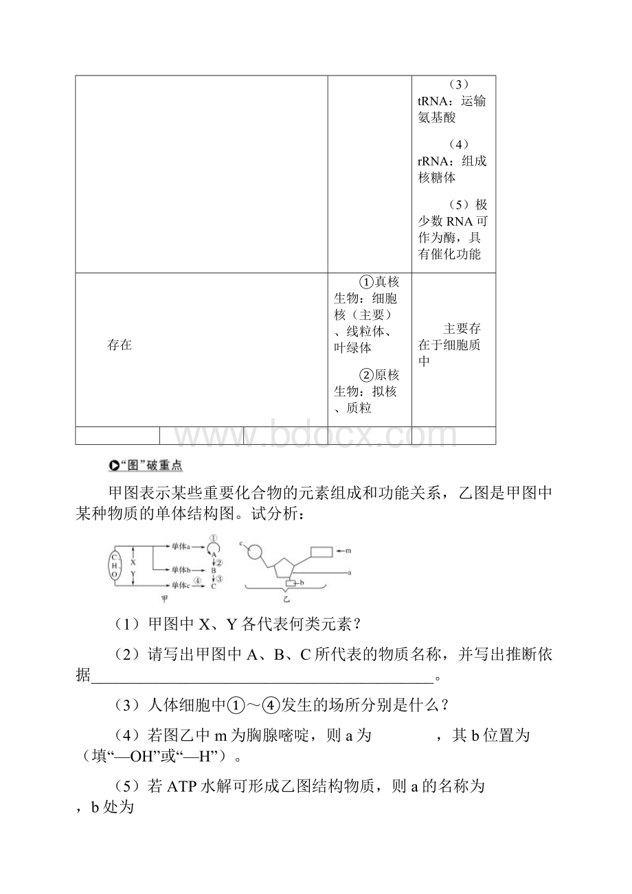 必修一 第一单元 第4讲.docx_第3页