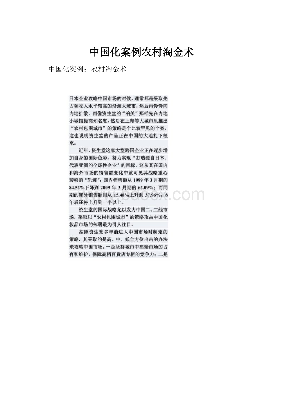 中国化案例农村淘金术.docx