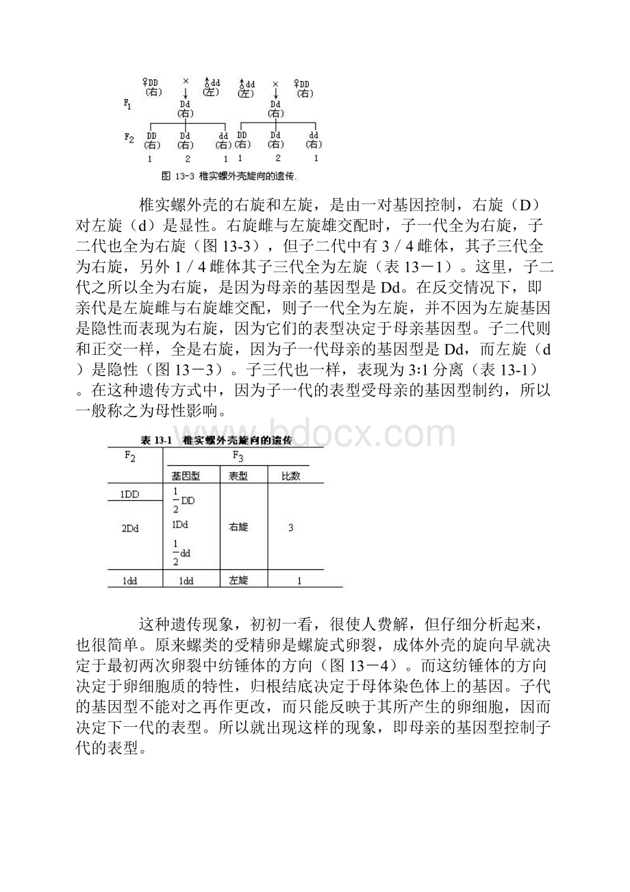 第十三章 细胞质和遗传.docx_第3页