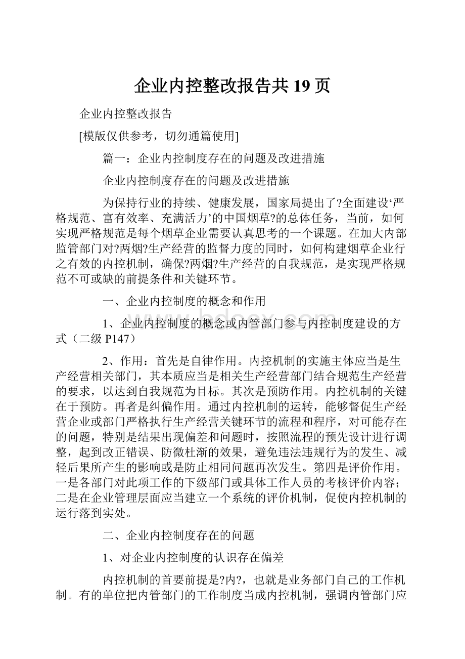 企业内控整改报告共19页.docx_第1页