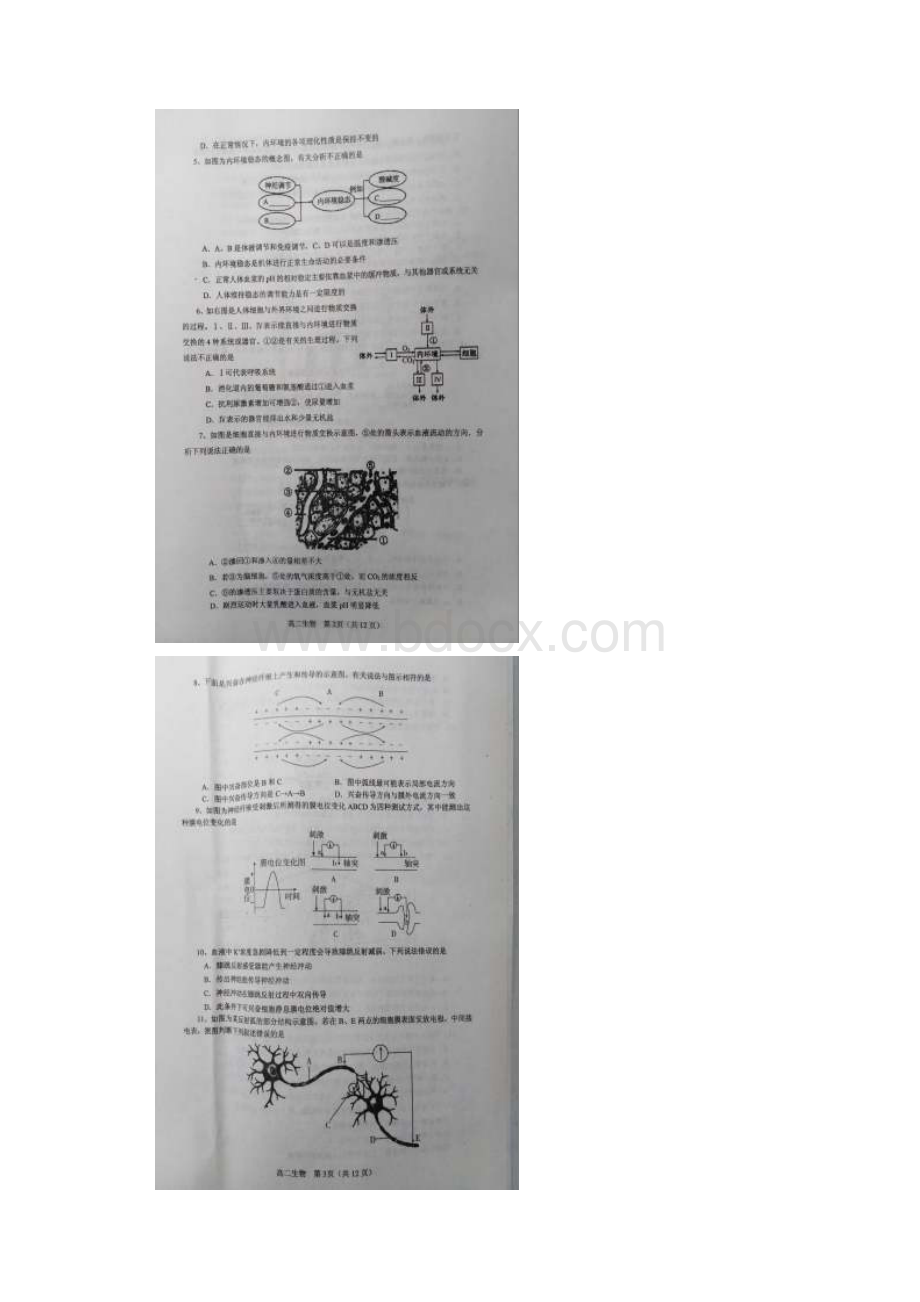 河南省南阳市高二上期期中质量评估生物试题.docx_第2页