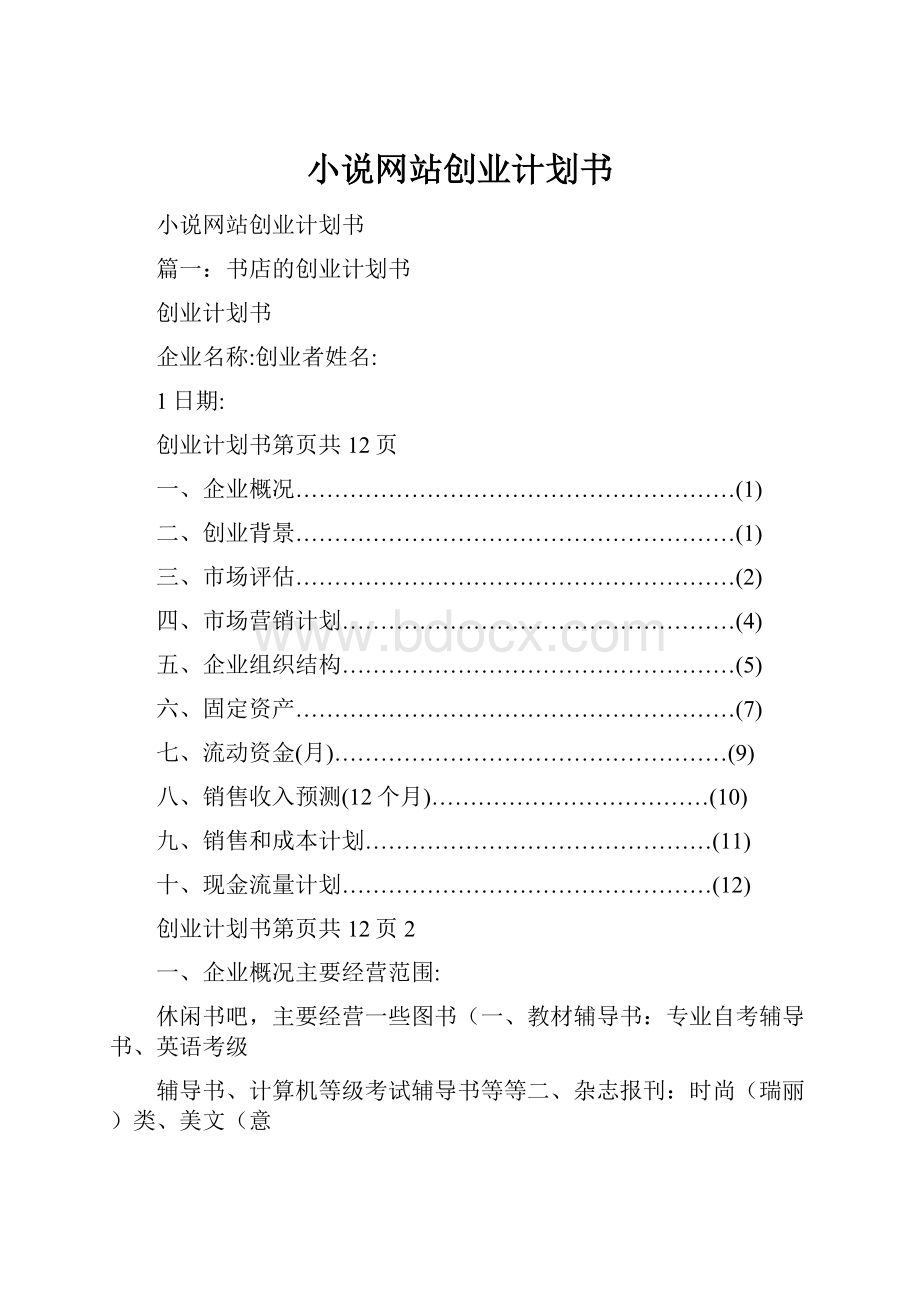 小说网站创业计划书.docx_第1页