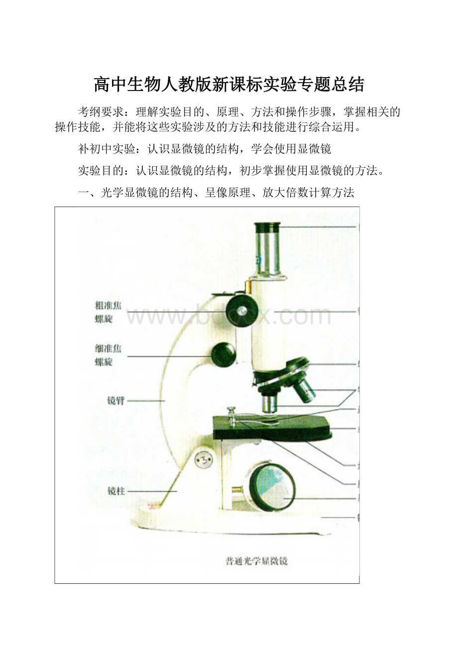 高中生物人教版新课标实验专题总结.docx_第1页