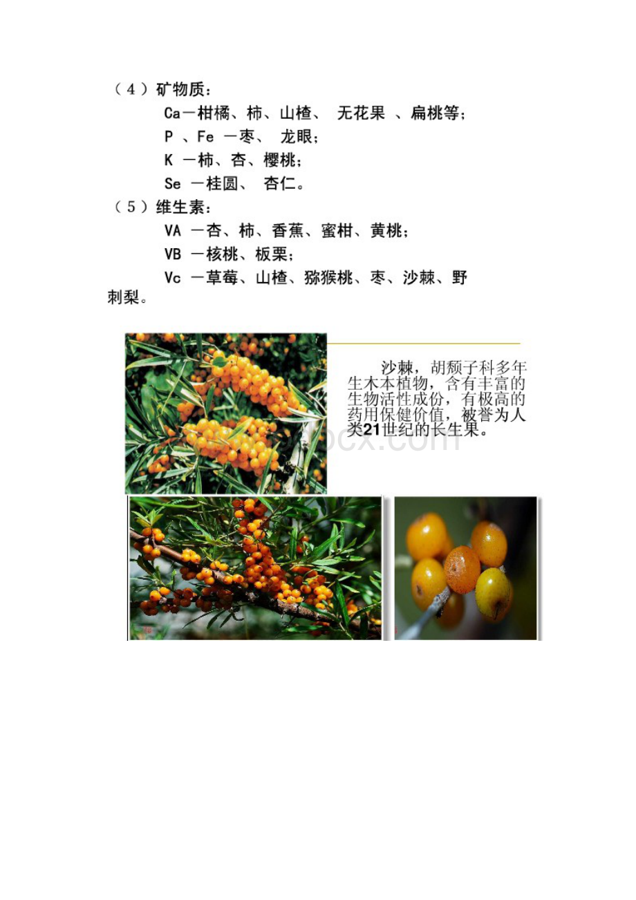 果树资源的分类及意义.docx_第3页