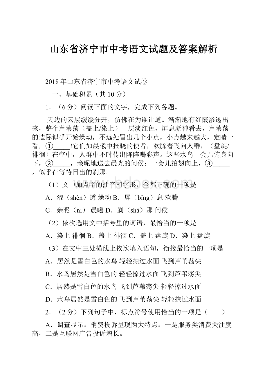 山东省济宁市中考语文试题及答案解析.docx_第1页