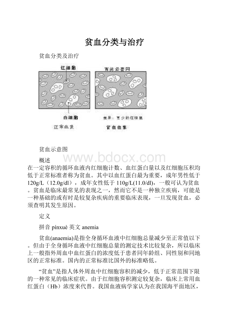 贫血分类与治疗.docx_第1页