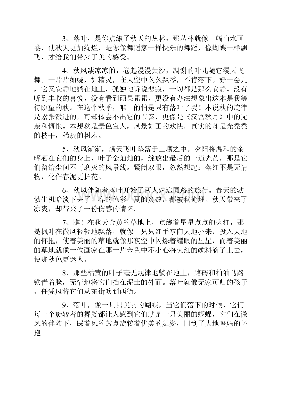 美文欣赏之秋天没有落叶与悲伤关于落叶悲伤的优美句子.docx_第2页