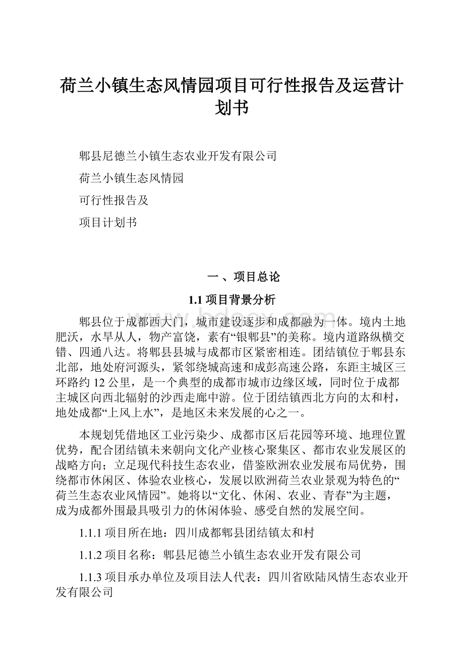 荷兰小镇生态风情园项目可行性报告及运营计划书.docx