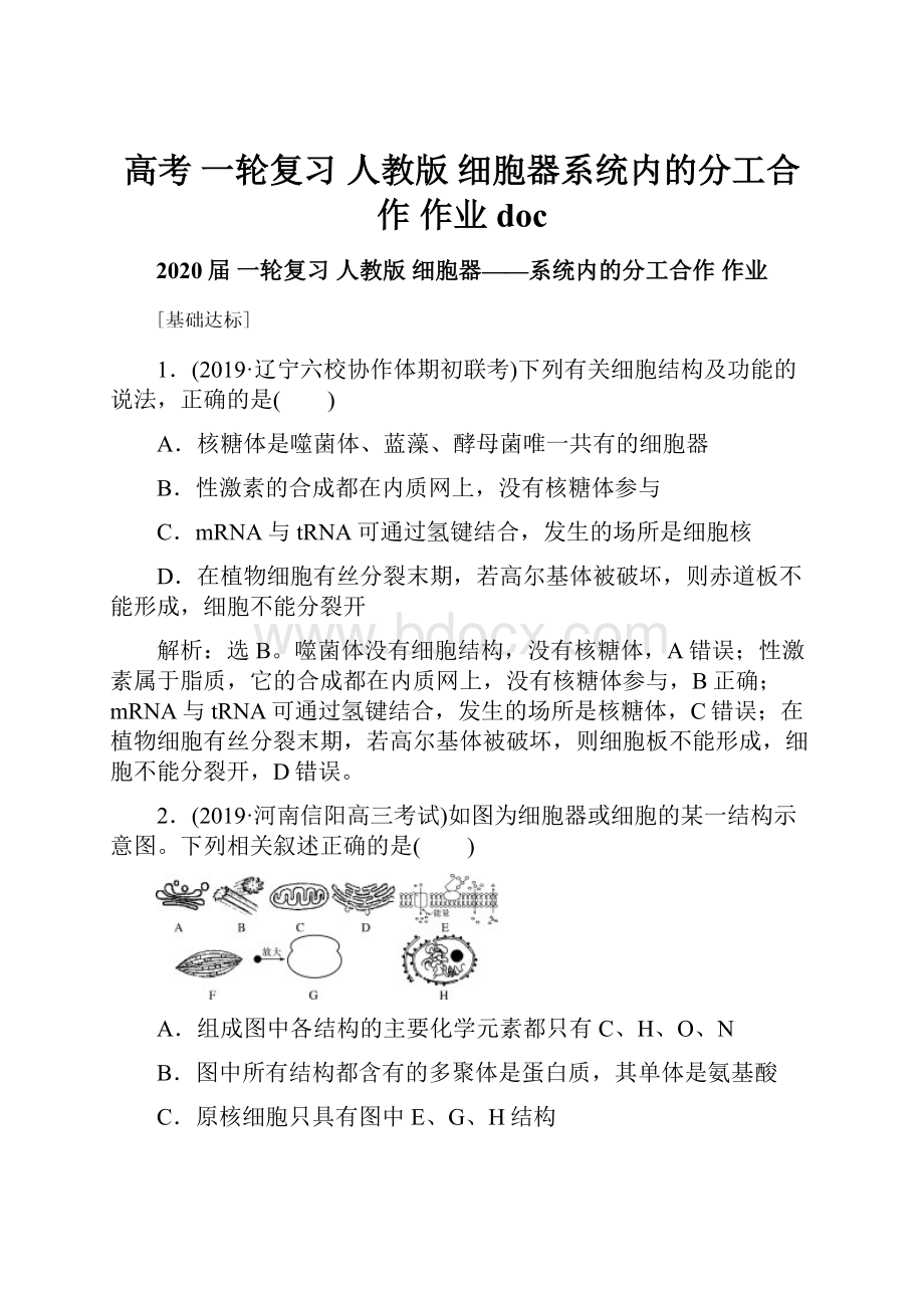 高考 一轮复习人教版 细胞器系统内的分工合作 作业doc.docx_第1页