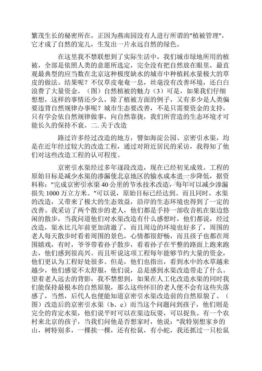 北京实习报告范文4篇精选.docx_第3页