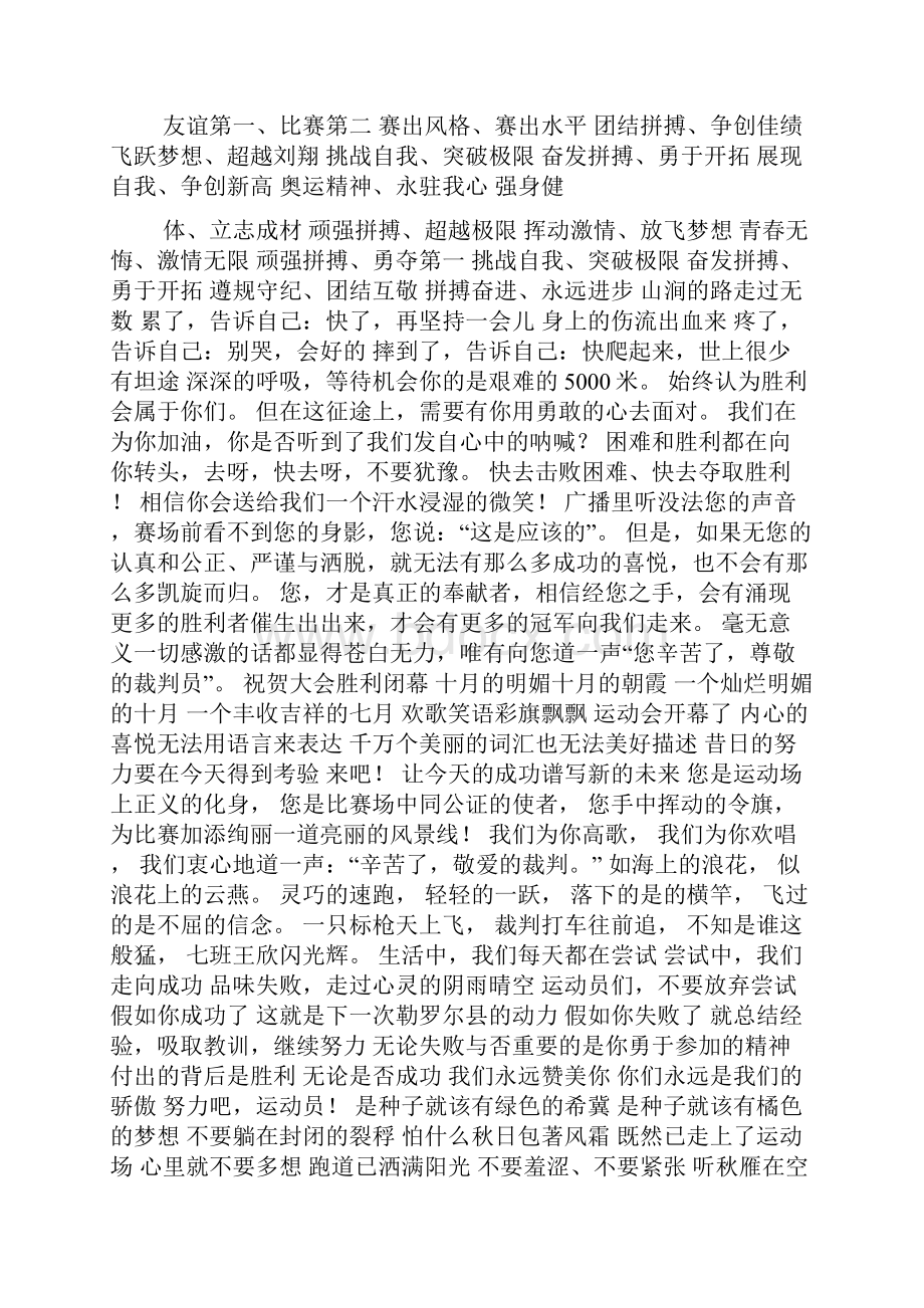 篮球赛加油横幅.docx_第3页