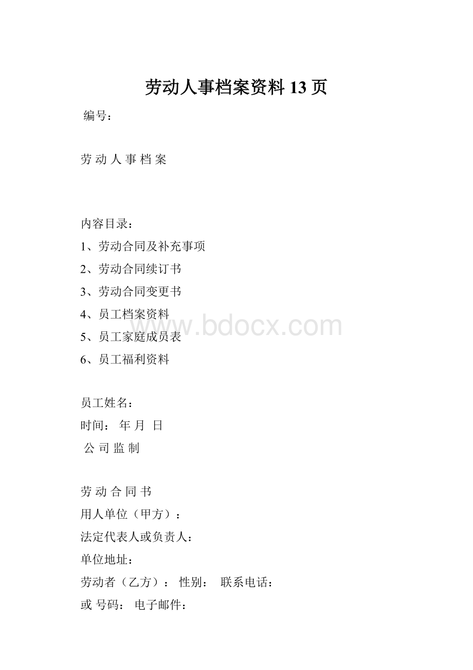 劳动人事档案资料13页.docx_第1页