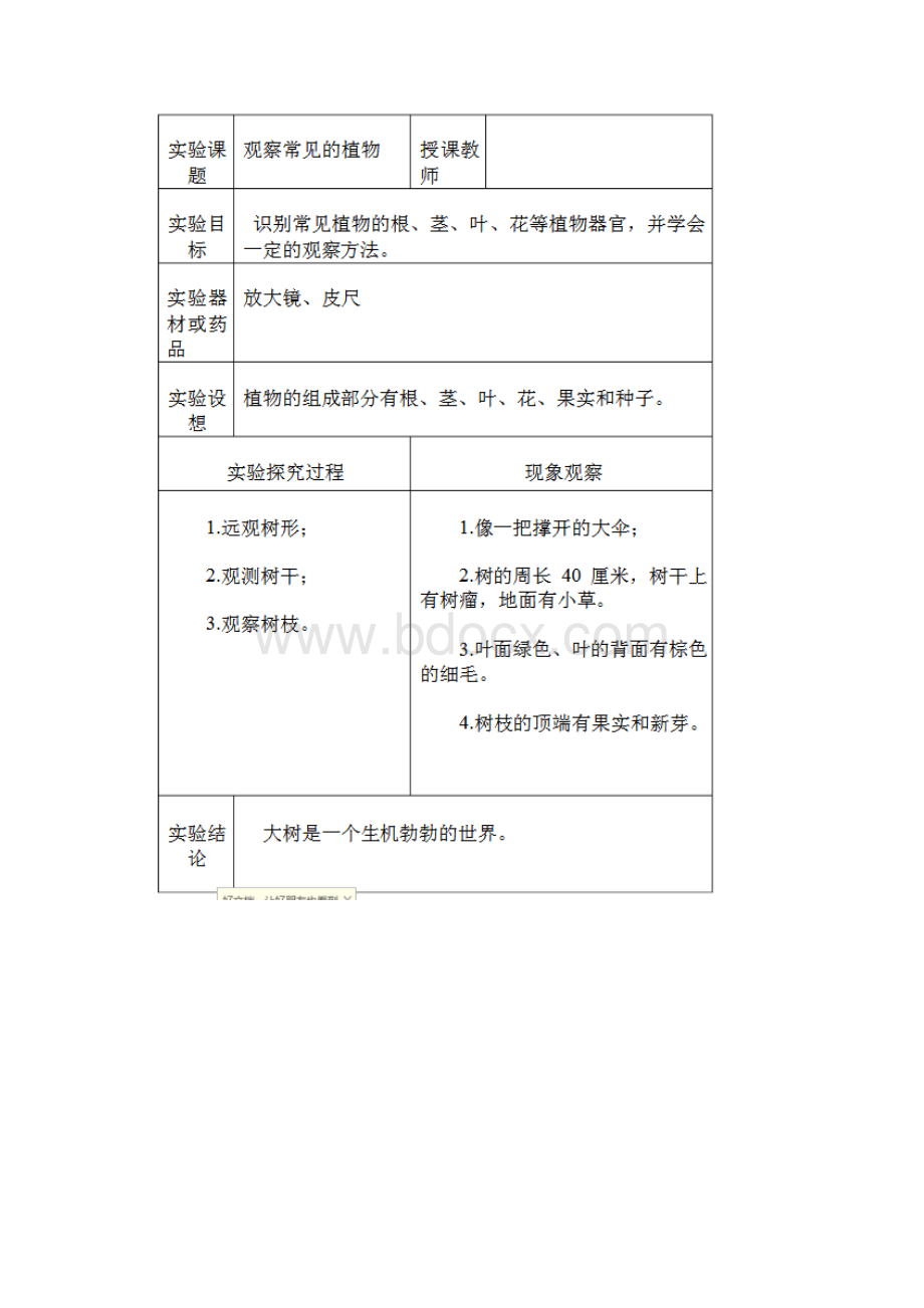 小学三年级科学实验.docx_第3页