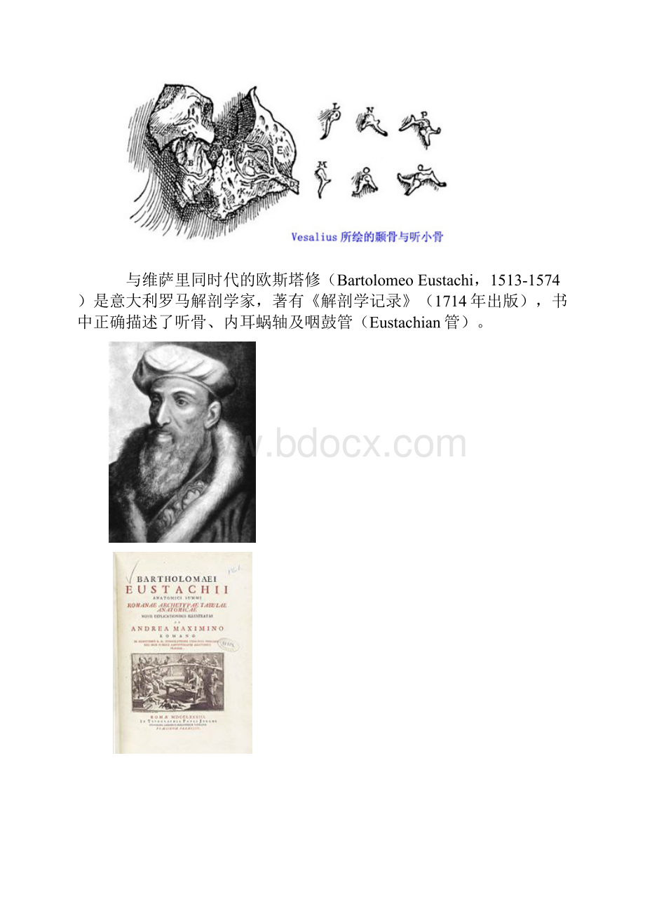 听觉听觉医学概述.docx_第3页