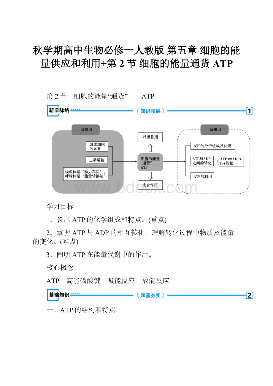 秋学期高中生物必修一人教版 第五章 细胞的能量供应和利用+第2节 细胞的能量通货ATP.docx