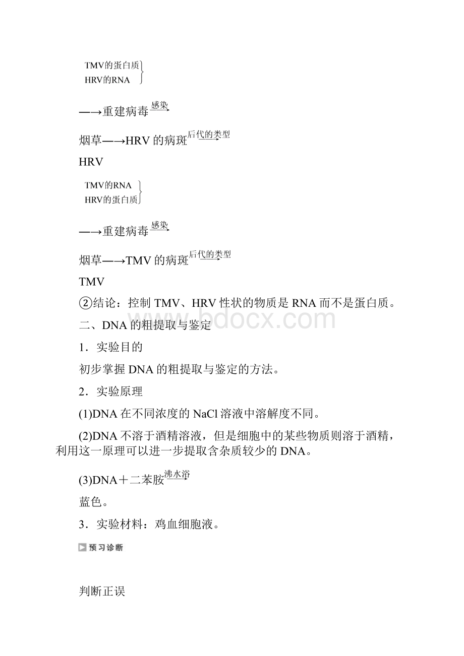 学年高中生物苏教版必修二学案文档第四章 第一节 第二课时 DNA是主要的遗传物质 Ⅱ.docx_第2页