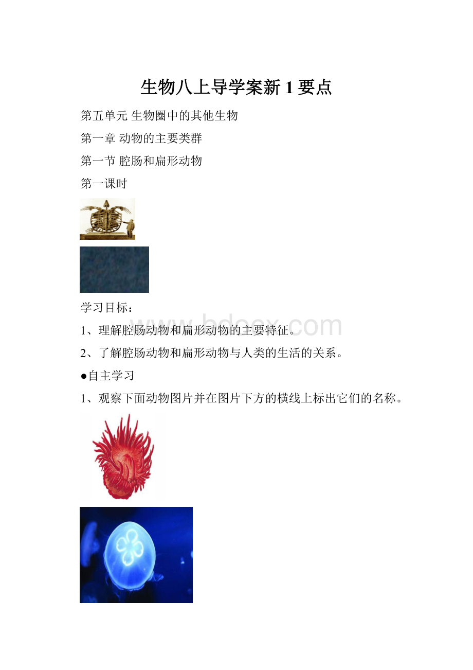 生物八上导学案新1要点.docx_第1页