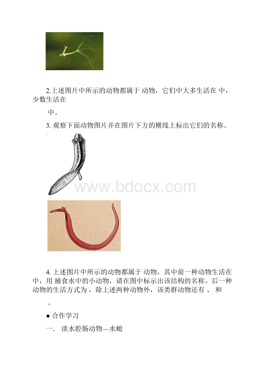 生物八上导学案新1要点.docx_第2页