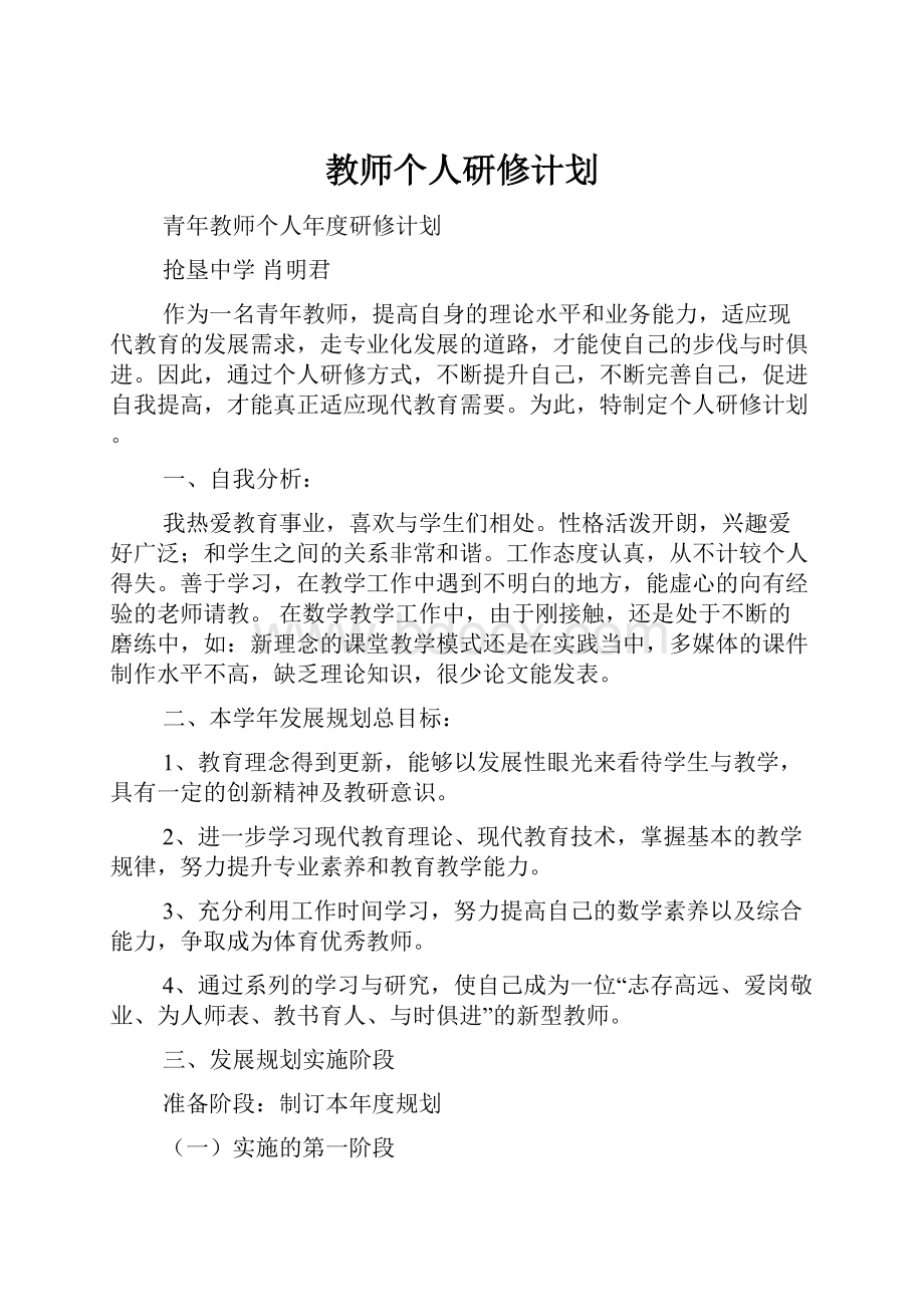 教师个人研修计划.docx