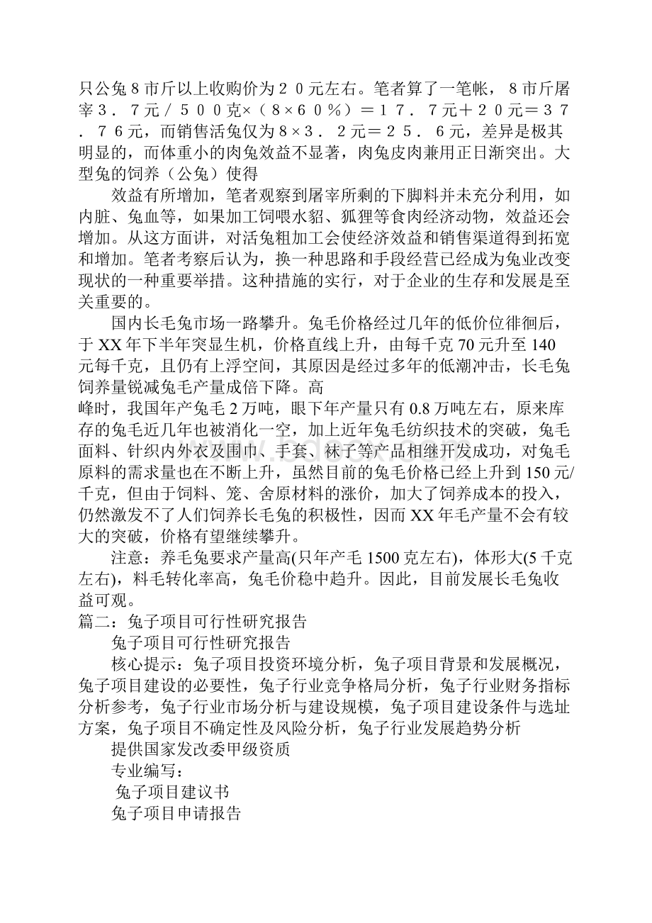 兔子研究报告结论精品.docx_第3页