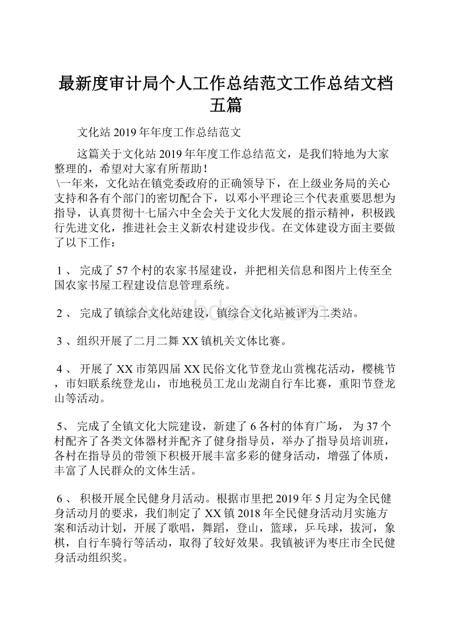 最新度审计局个人工作总结范文工作总结文档五篇.docx