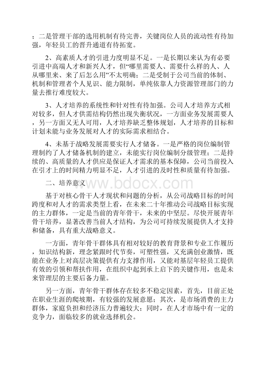 青年骨干培养规划.docx_第2页