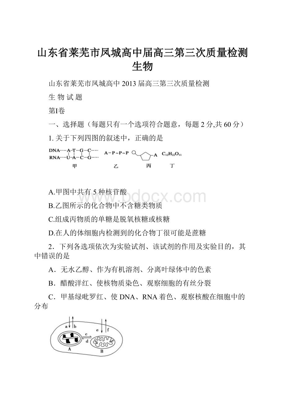 山东省莱芜市凤城高中届高三第三次质量检测 生物.docx