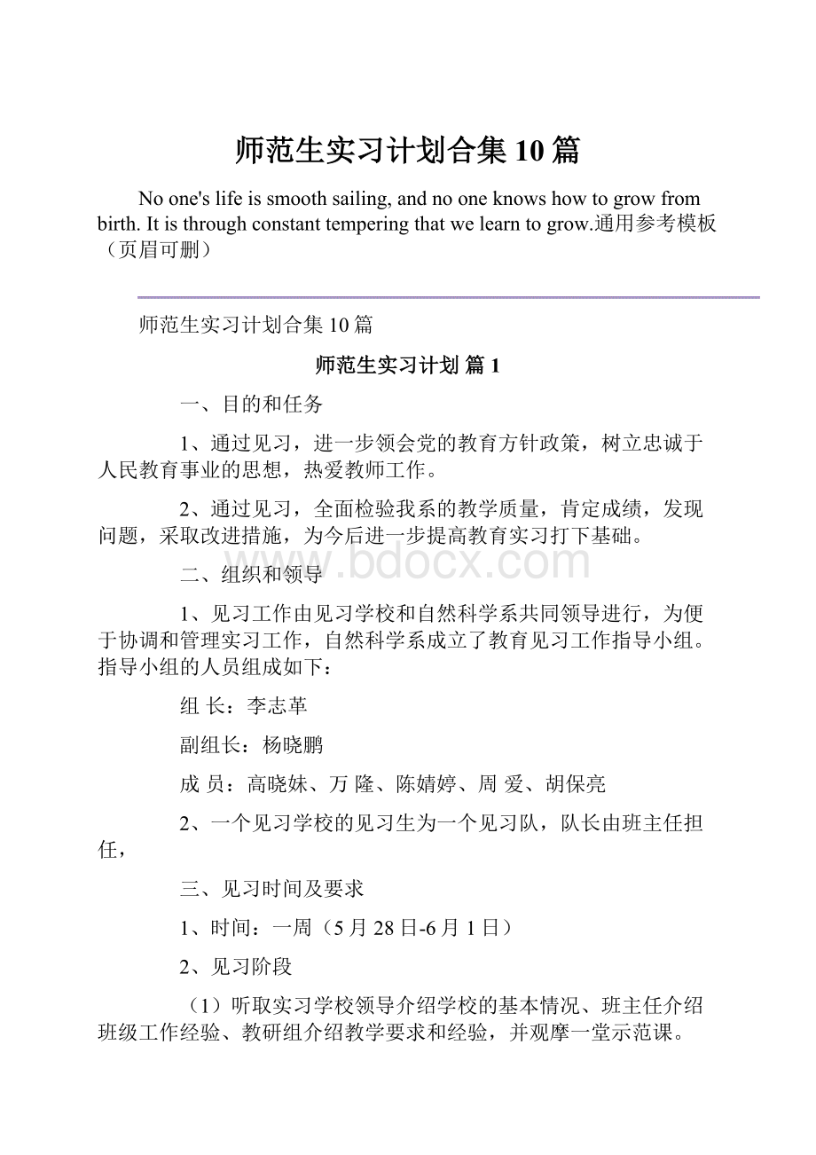 师范生实习计划合集10篇.docx