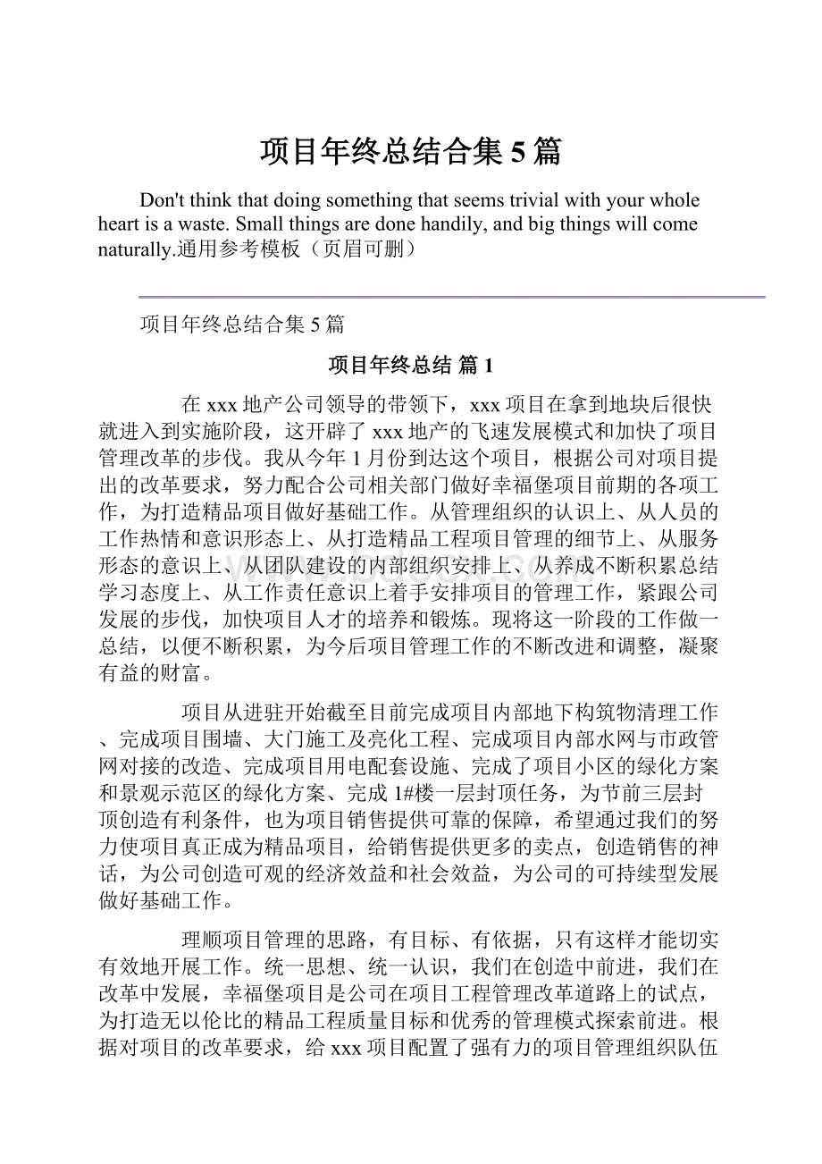 项目年终总结合集5篇.docx_第1页