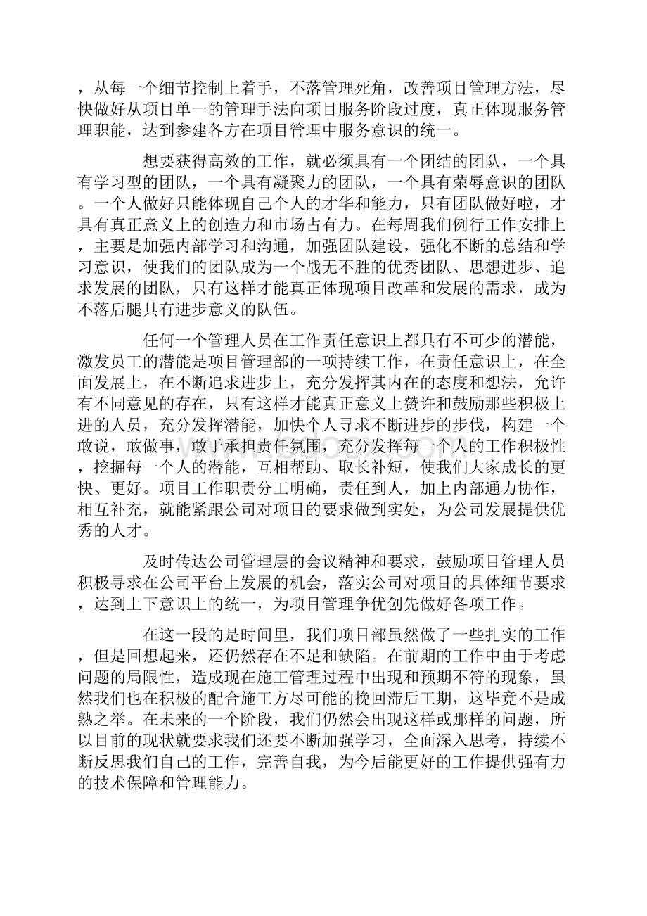 项目年终总结合集5篇.docx_第3页