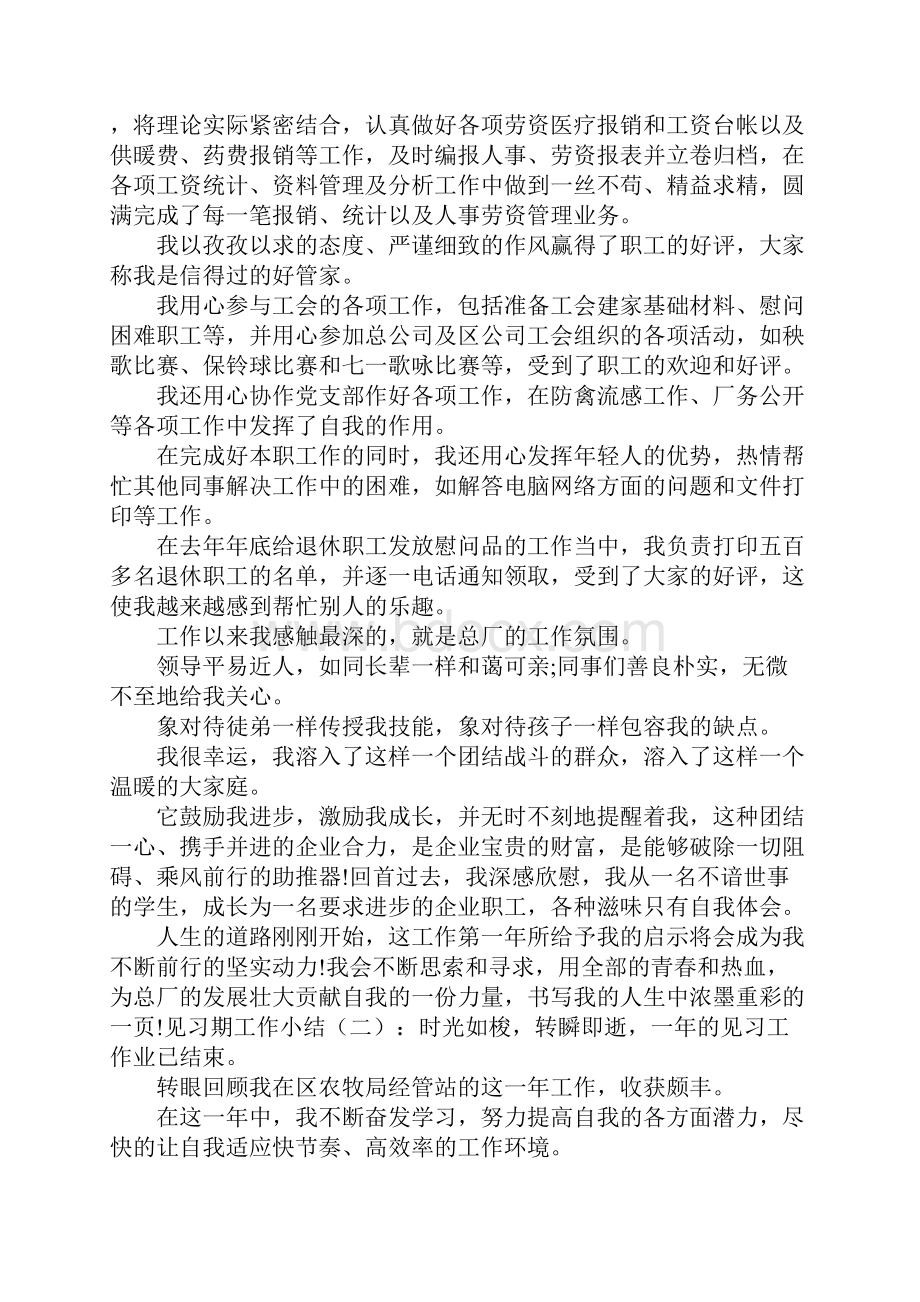 见习总结 见习期工作小结.docx_第2页