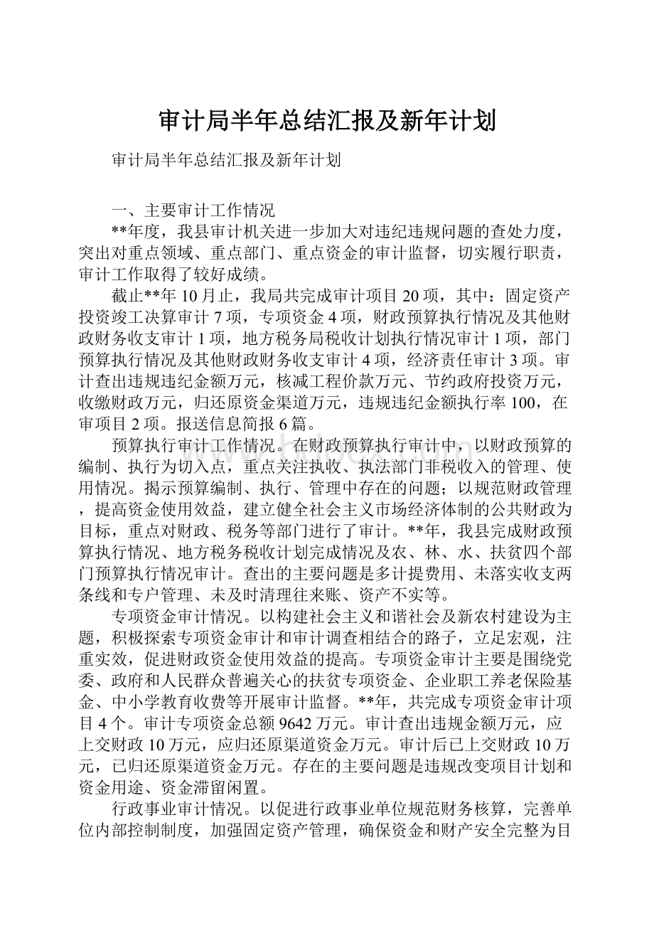 审计局半年总结汇报及新年计划.docx_第1页