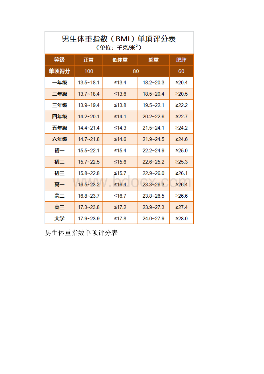 体质健康测试标准.docx_第2页