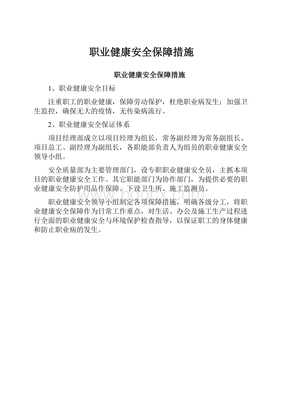 职业健康安全保障措施.docx_第1页