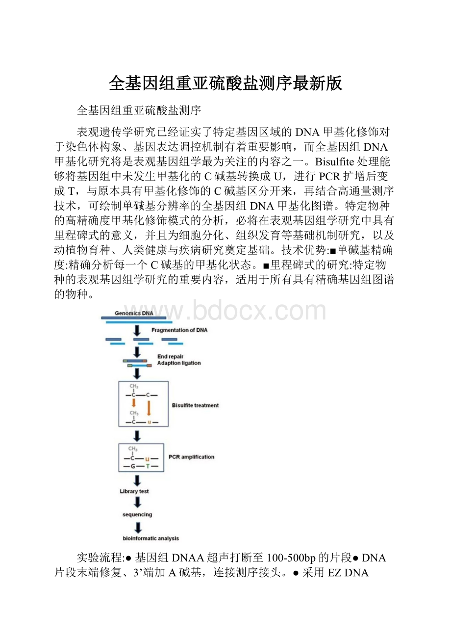 全基因组重亚硫酸盐测序最新版.docx