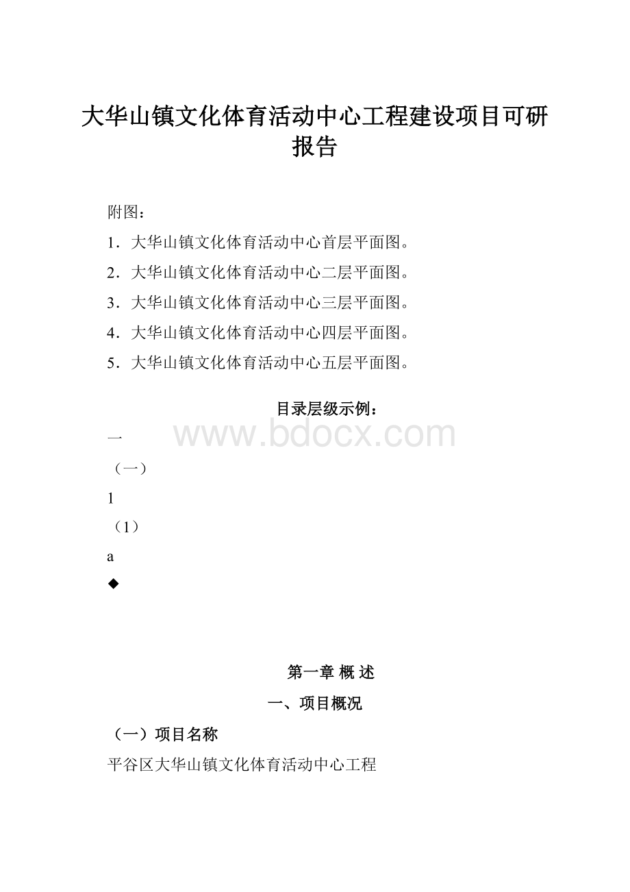 大华山镇文化体育活动中心工程建设项目可研报告.docx