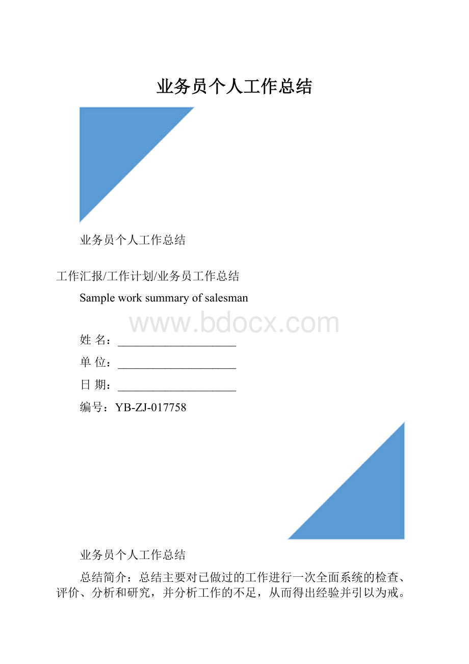 业务员个人工作总结.docx