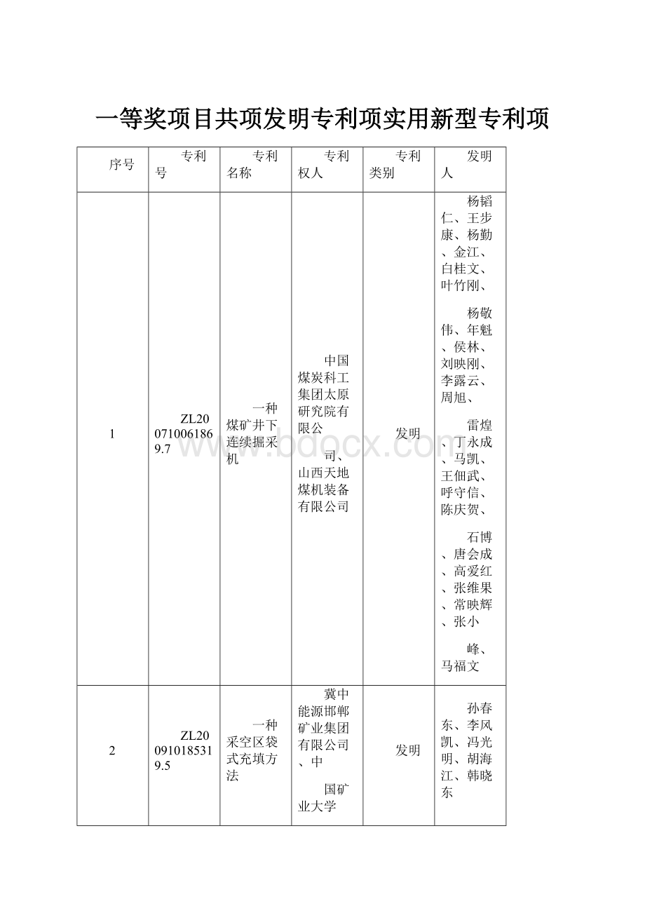 一等奖项目共项发明专利项实用新型专利项.docx