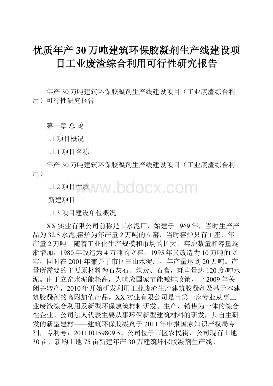 优质年产30万吨建筑环保胶凝剂生产线建设项目工业废渣综合利用可行性研究报告.docx_第1页