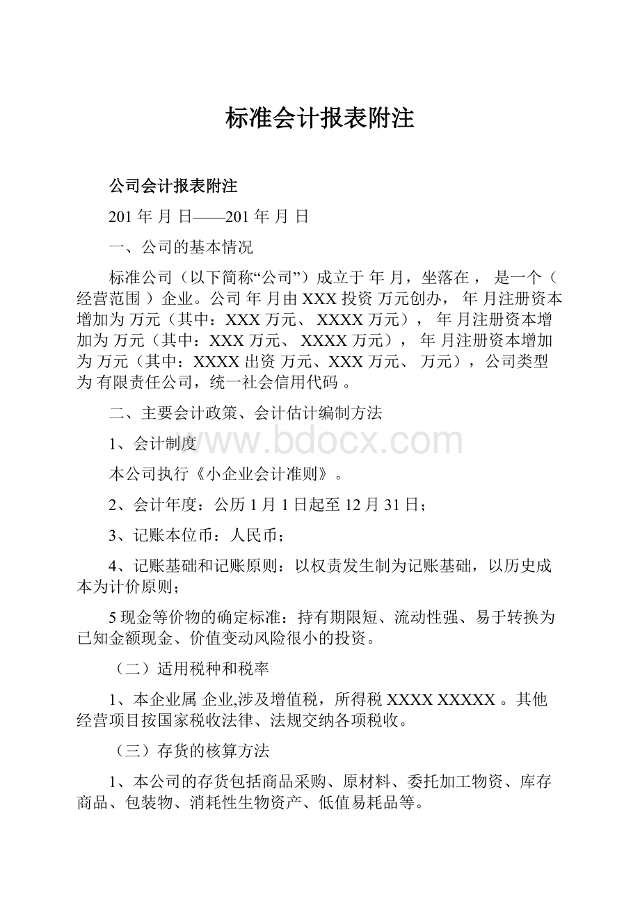 标准会计报表附注.docx_第1页