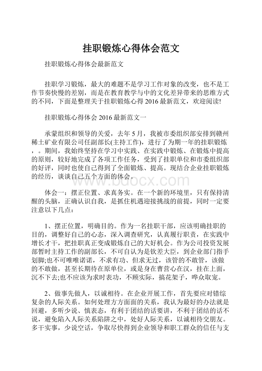 挂职锻炼心得体会范文.docx