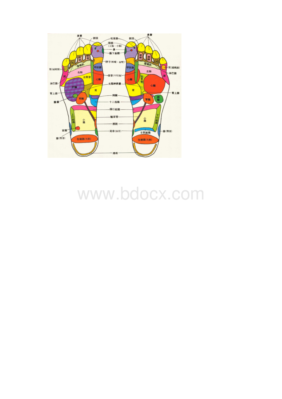 足部反射区图 实用足部反射区和穴位现用图解.docx_第2页